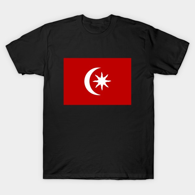 Constantinople Flag T-Shirt by Virly